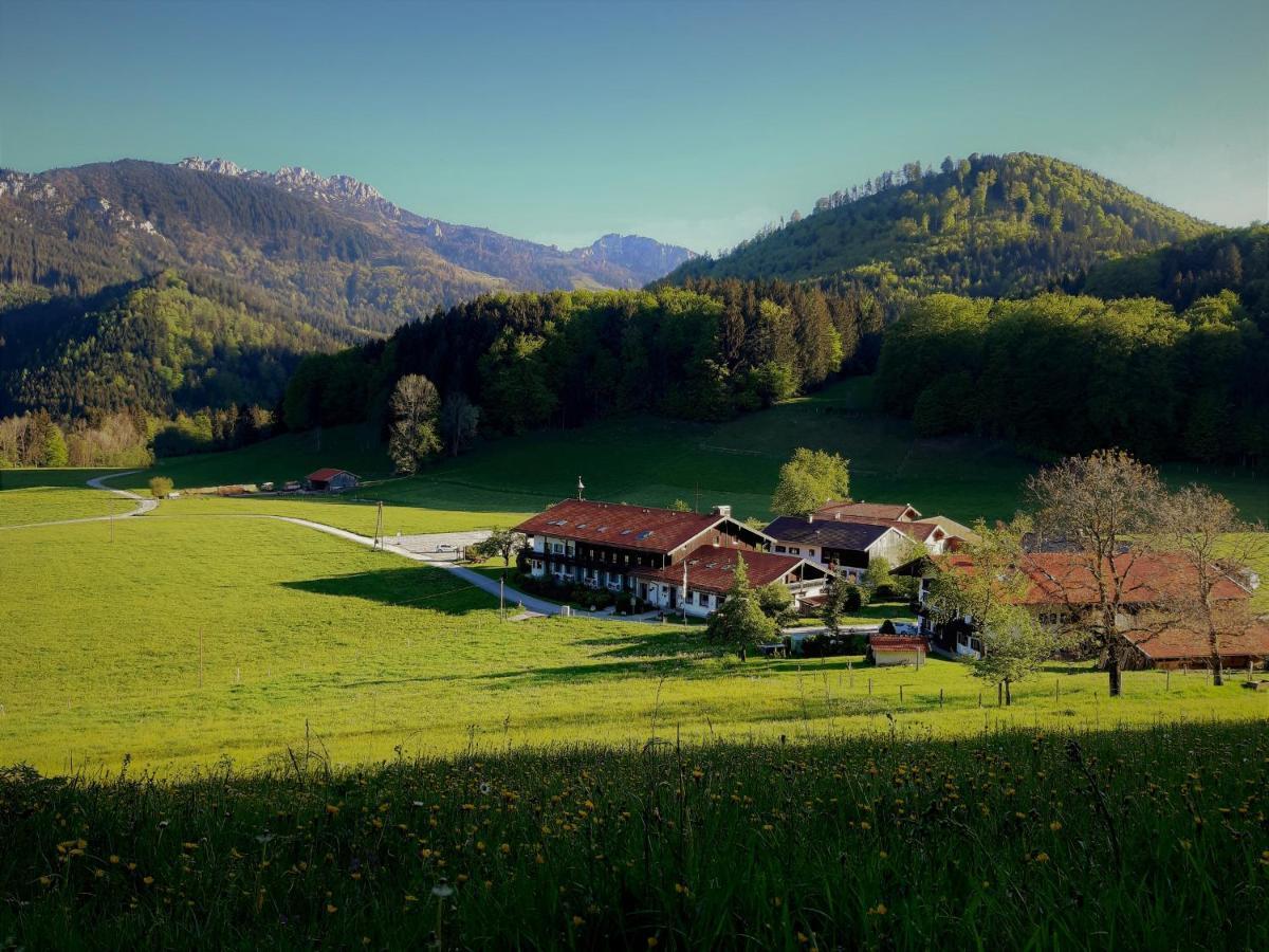 Gschwendtnerhof App10 Krausw Apartment Aschau im Chiemgau Exterior foto